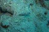 2008-05-17 15-15-32 H